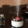 Titanic Steam Ship Humidifier Diffuser – Decorative Home Mist Diffuser