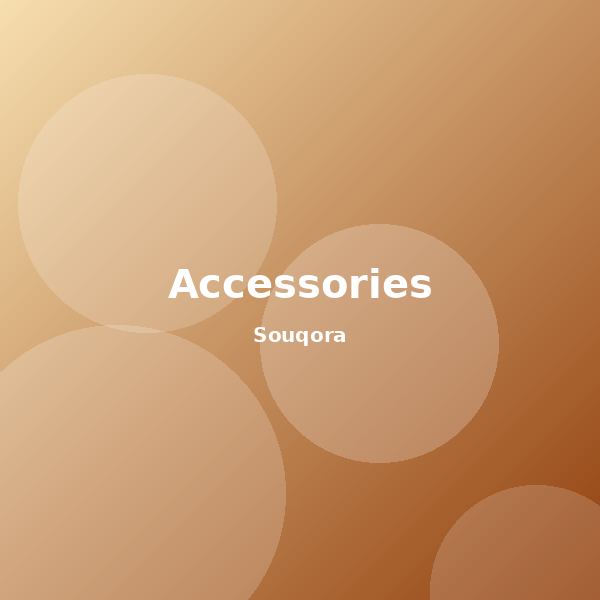 Accessories category